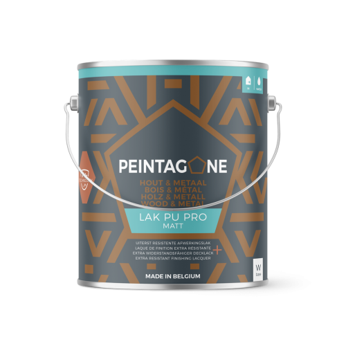 Peintagone Lak du pro